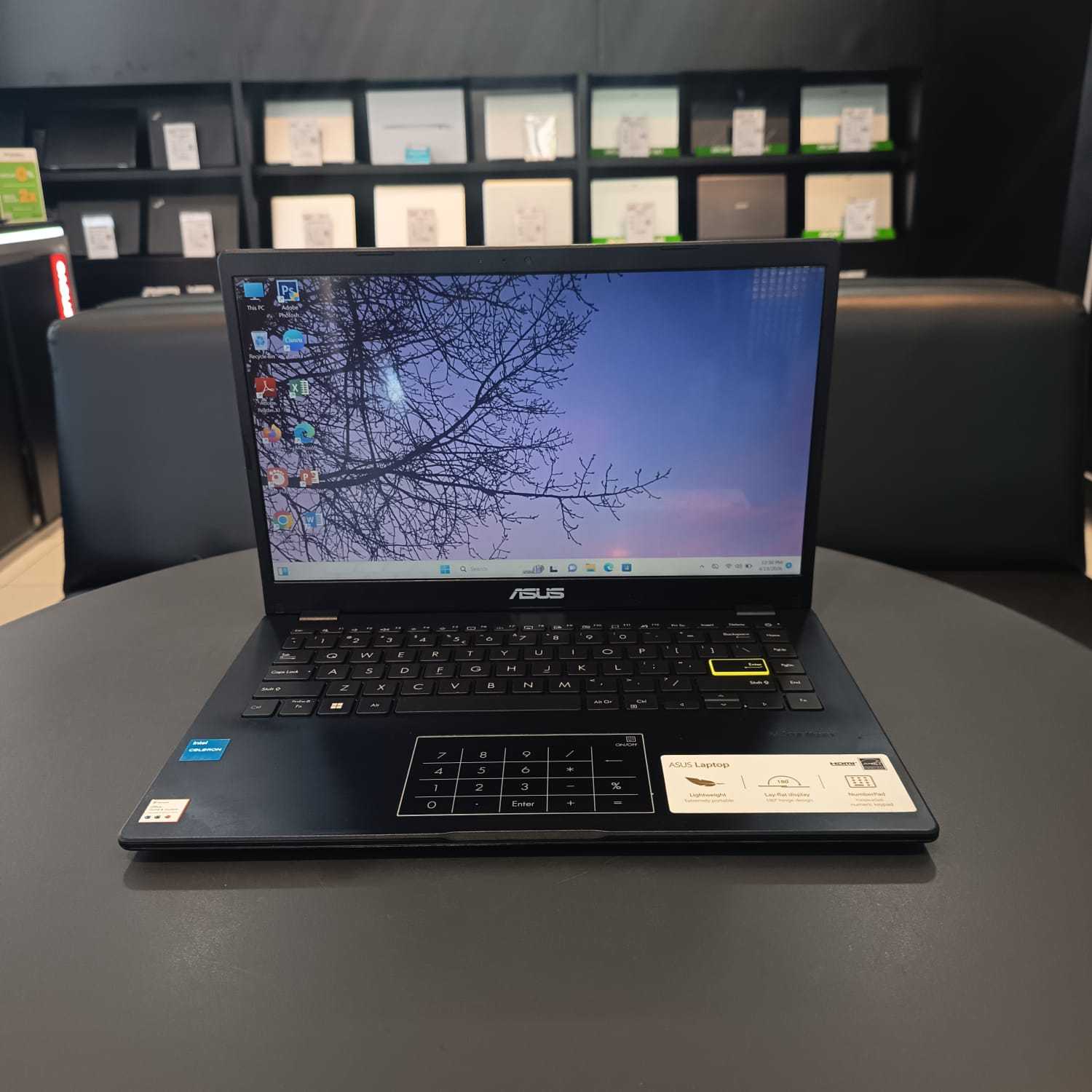 ASUS VIVOBOOK E410KA DISPLAY 14 INCH INTEL CELERON RAM 8 GB SSD 256 GB WINDOWS 11 PRO